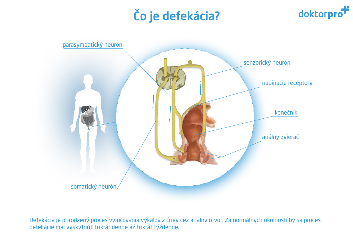 Čo je defekácia?