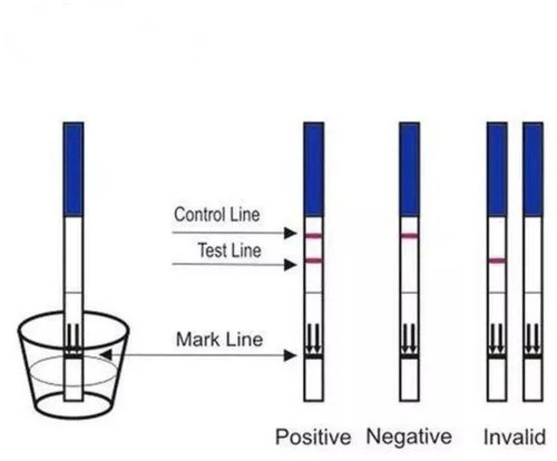 Ako používať tehotenský test