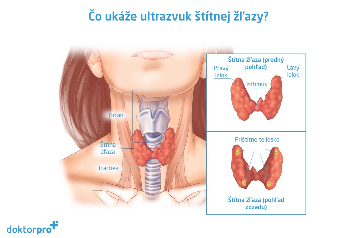 Čo ukáže ultrazvuk štítnej žľazy?