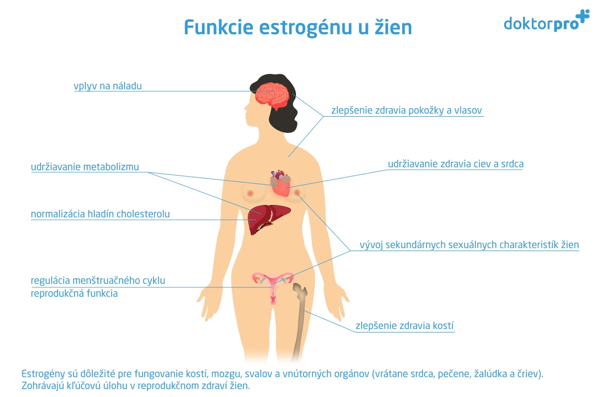 Funkcie estrogénu u žien