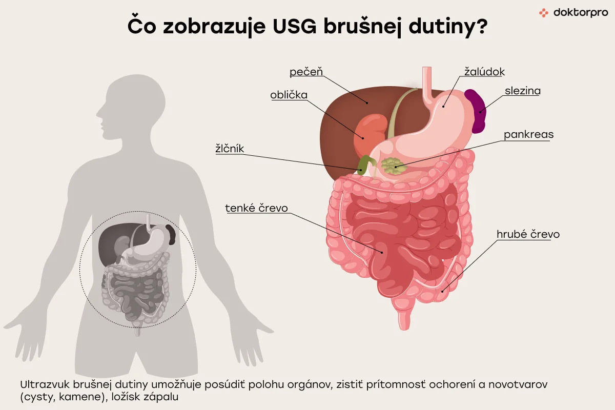 Čo zobrazuje USG brušnej dutiny?