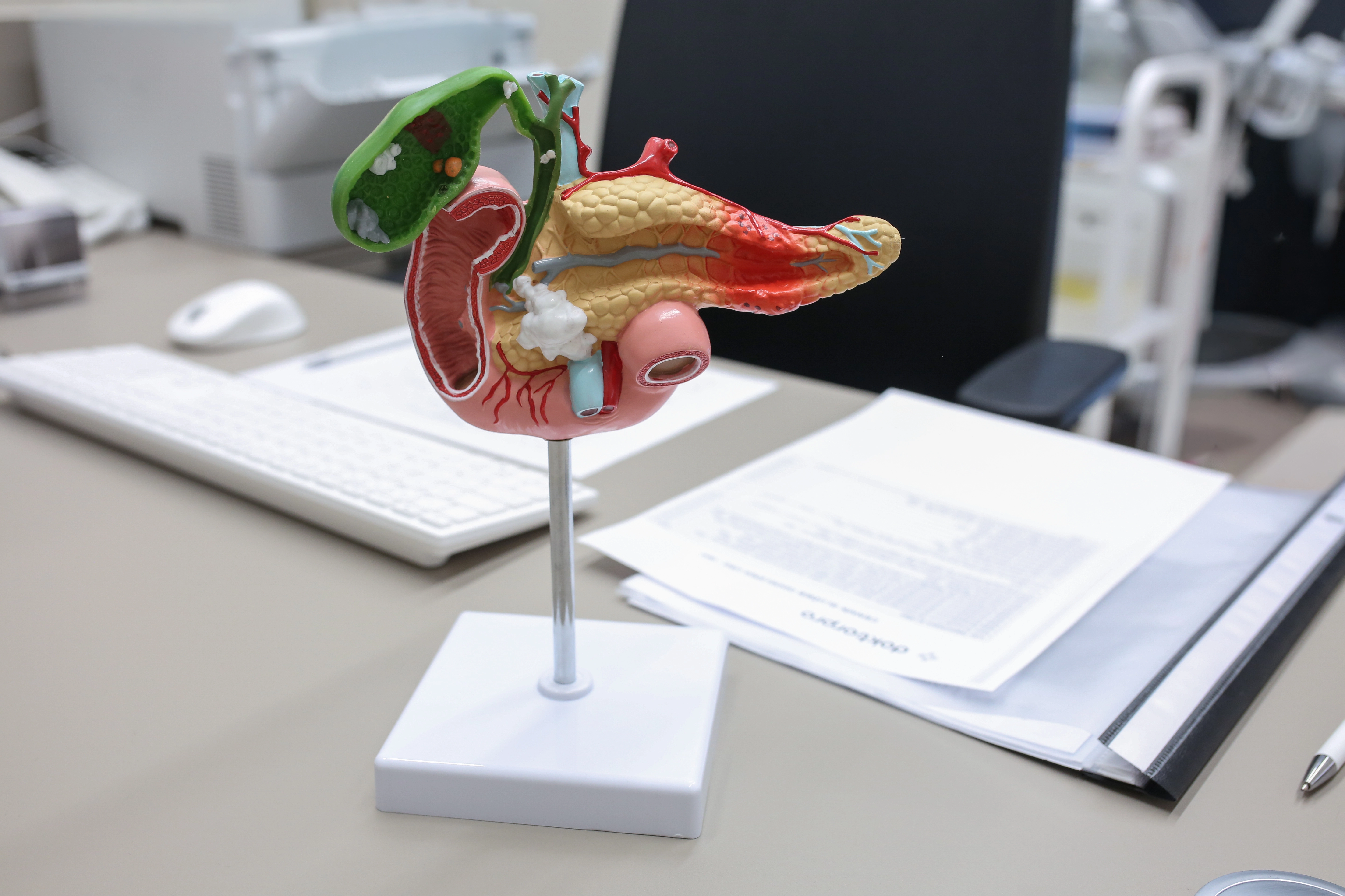 Gastroenterologická ambulancia v Doktorpro Bratislava