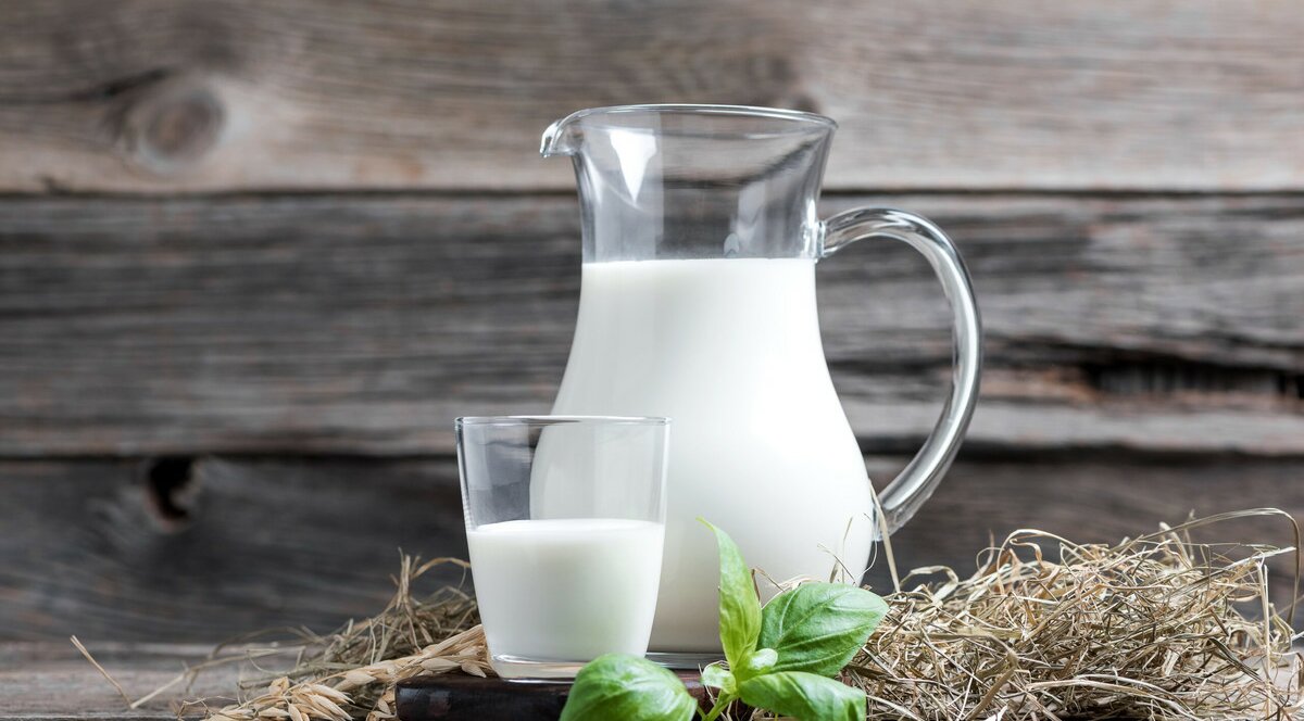 Benefity a škodlivosť mlieka