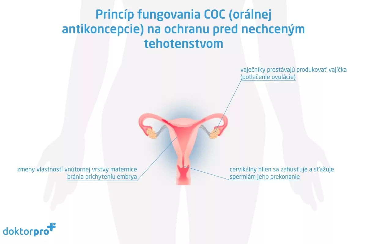 Princíp fungovania COC (orálnej antikoncepcie) na ochranu pred nechceným tehotenstvom
